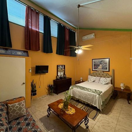 Shalom Suite 2, Manor Park Кінгстон Екстер'єр фото