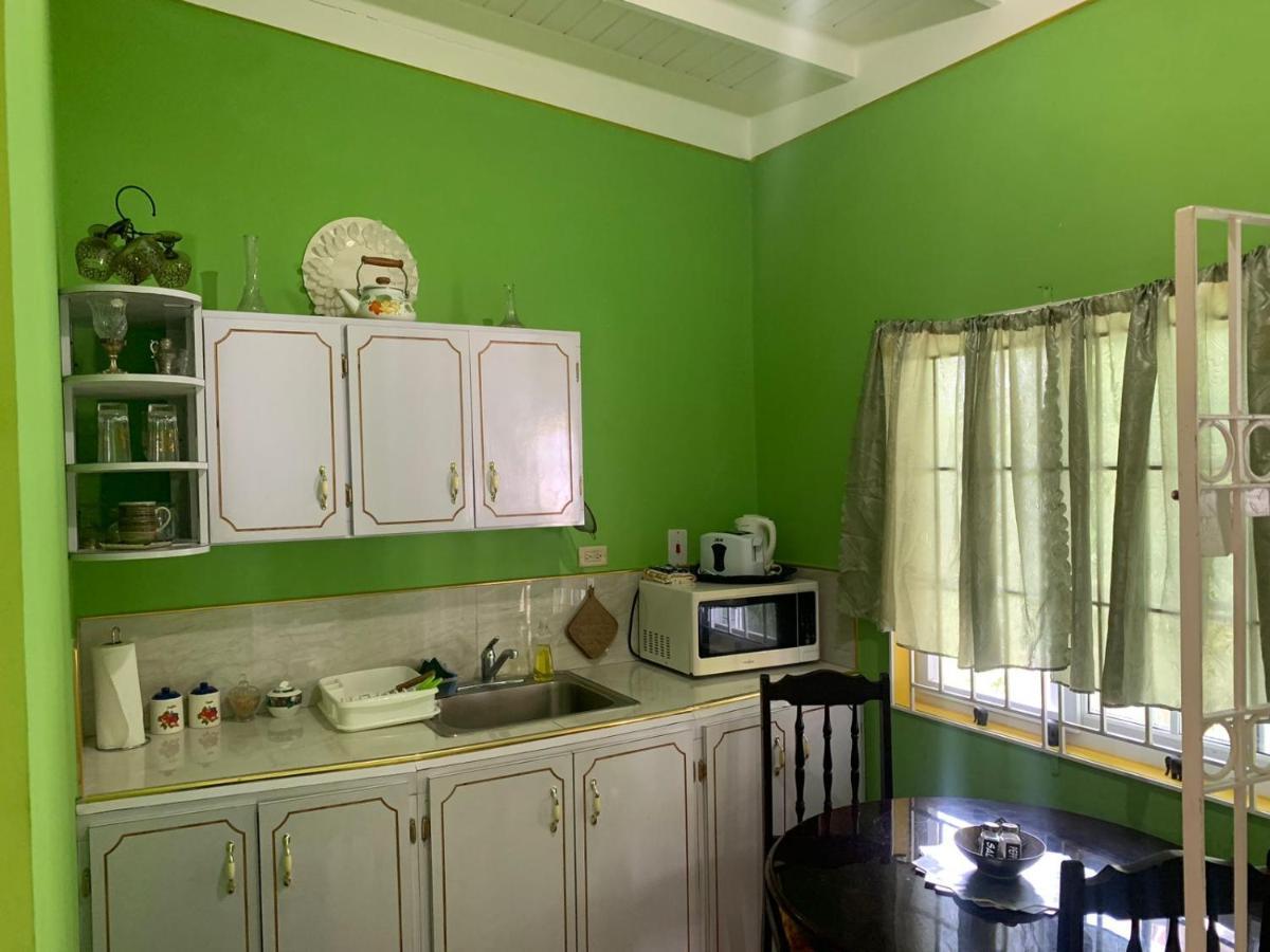 Shalom Suite 2, Manor Park Кінгстон Екстер'єр фото